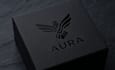 design professional quality logo for you