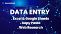 do professional excel data entry and copy paste work