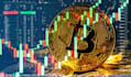 generate fresh forex crypto and investor leads