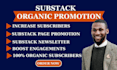 substack growth substack subscribers content promotion
