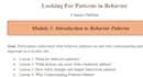 prepare online course content, course curriculum for you