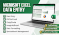 do fast and accurate microsoft excel data entry