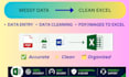 do data entry, data cleaning, PDF images to excel conversion