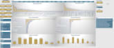 create a professional excel dashboard