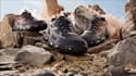 make shoe, sneakers, footwear 3d model an