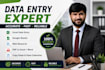 do precise data entry, data analysis, excel, research, pdf conversion
