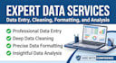 do data analysis, data cleaning, and excel visualization