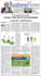 write SEO friendly content and blog articles