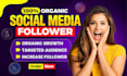 do increase social media followers