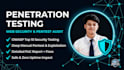 test your website for vulnerabilities with penetration testing