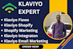 audit and build high converting klaviyo email and sms flows