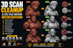 clean 3d scans, repair meshes and make your model print ready