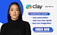 setup clay automation clay com apollo clay crm integration