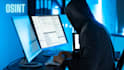 do osint private investigator, background checks, IP tracing and location track