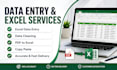do accurate data entry, excel data cleaning