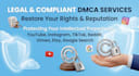 delete,remove,takedown,content from,reddit,tiktok,facebook, google,youtube dmca
