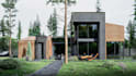 redesign tiny house exterior 3d rendering,cabin, barn house,2d architecture plan