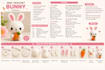 do professional amigurumi crochet pattern writing and design