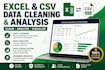 clean and analyze your excel or CSV data