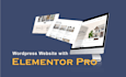 design and develop a stunning wordpress website