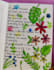 write engaging articles and provide hand drawn sketches