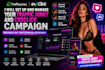 set up and manage your traffic junky and exoclick campaign