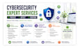 provide professional cybersecurity, vapt and penetration testing services