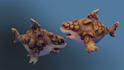 gameready 3d model fish and animals