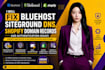fix bluehost siteground dns, shopify domain records and authentication issues