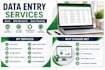 do data entry, excel data entry, web research and data cleaning
