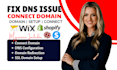 connect domain redirect or connect domain do domain transfer connect domain
