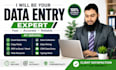 data entry, web research and copy paste