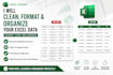 clean, format and organize your excel data