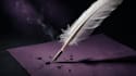 write authentic character dialogue and scripts