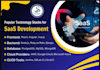 develop ai web app, software developer, crm, erp, lms, saas, full stack develop