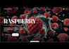 create a luxury website with custom animations