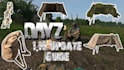 build dayz server setup, coding, scripts, arma reforger