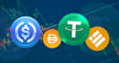 help you set up bitcoin wallet and learn crypto step by step