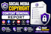 prepare social media copyright and content removal reports