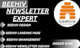 beehive setup and newsletter epxert