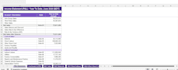 provide financial audit, risk and accounting solutions