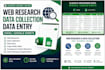 do web research, data collection and data entry