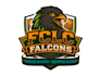 create high quality and beautiful falcon logo design
