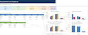 create a professional excel dashboard and data visualization