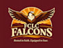 create exclusive and marvelous falcon logo design
