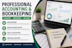provide professional bookkeeping and accounting services