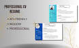canva professional CV resume