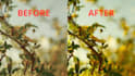 professionally edit and color grade your photos