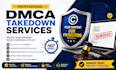 provide professional dmca takedown services