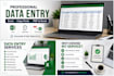 do data entry and data cleaning
